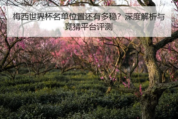 梅西世界杯名单位置还有多稳？深度解析与竞猜平台评测